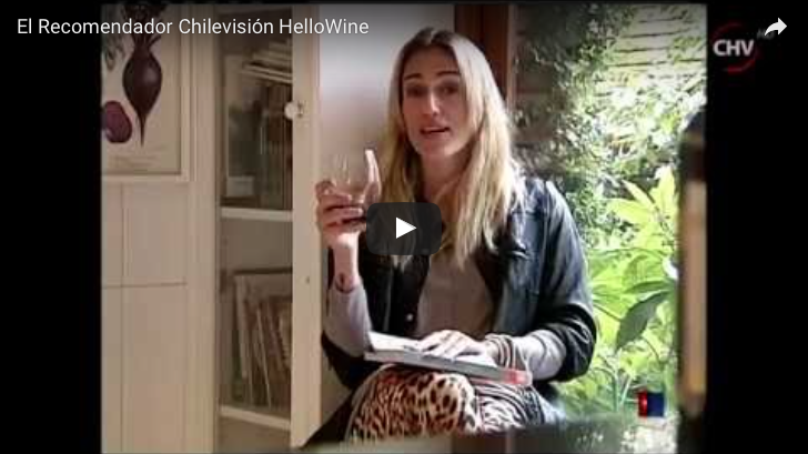 Entrevista Chilevisión