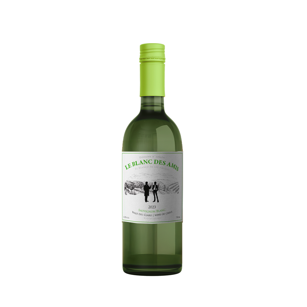 VINO LOS DOS ENOLOGOS SAUVIGNON BLANC 2023 VALLE DEL CLARO 375 CC
