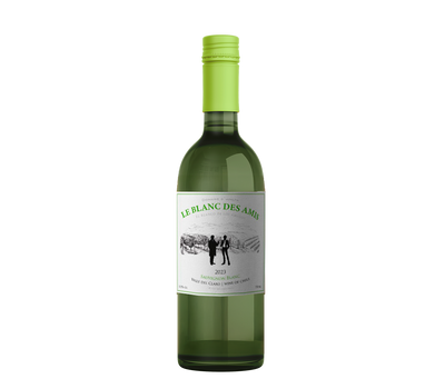 VINO LOS DOS ENOLOGOS SAUVIGNON BLANC 2023 VALLE DEL CLARO 375 CC