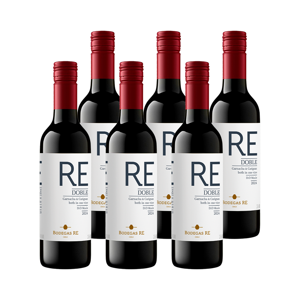 PACK 6  - VINO BODEGAS RE DOBLE 2024 375 CC