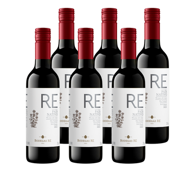 PACK 6  - VINO BODEGAS RE PAIS NATIVO ROSE 375 CC