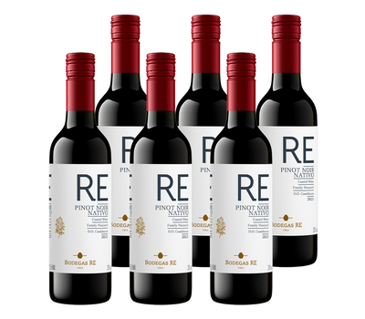 PACK 6  - VINO BODEGAS RE PINO NOIR NATIVO 375 CC